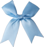 Vánoční dárková stužka